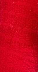 Red net fabric with intricate chikan embroidery and delicate sequin accents (unstitched material)